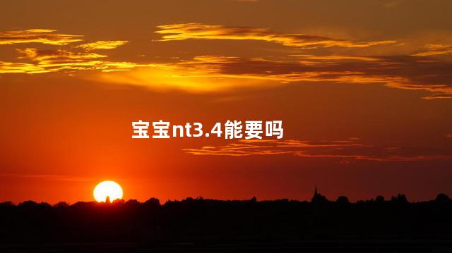 宝宝nt3.4能要吗