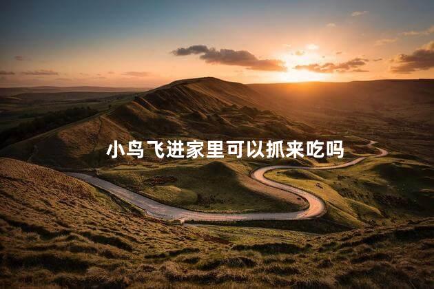 小鸟飞进家里可以抓来吃吗