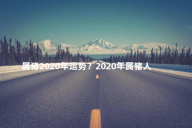 属猪2020年运势？2020年属猪人运势展望