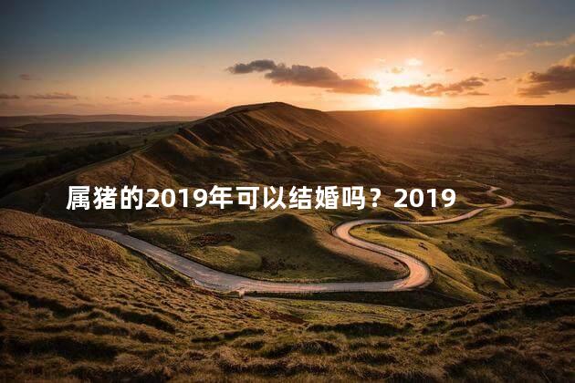 属猪的2019年可以结婚吗？2019属猪的人适合结婚吗？