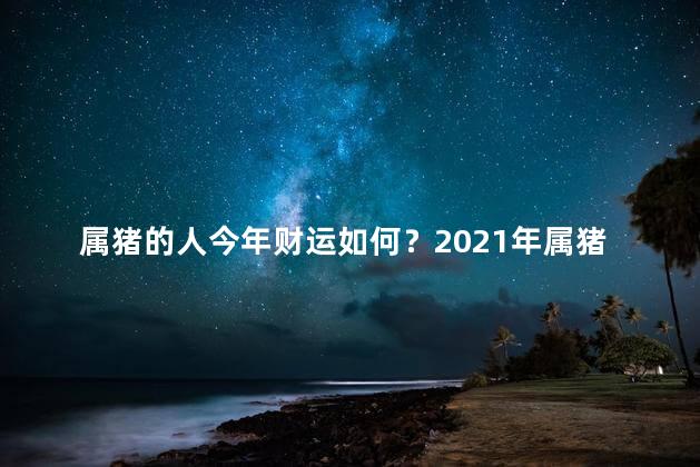 属猪的人今年财运如何？2021年属猪人财运展望