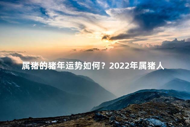 属猪的猪年运势如何？2022年属猪人的运势展望