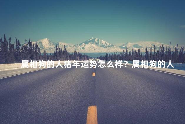 属相狗的人猪年运势怎么样？属相狗的人在猪年的运势预测