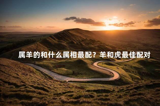 属羊的和什么属相最配？羊和虎最佳配对，浪漫甜蜜的组合