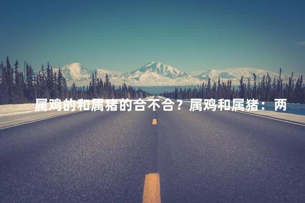 属鸡的和属猪的合不合？属鸡和属猪：两个不同生肖之间的奇妙交集