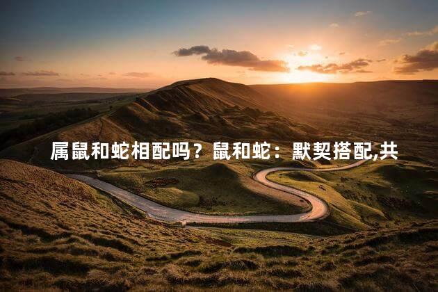 属鼠和蛇相配吗？鼠和蛇：默契搭配，共谱成功之道