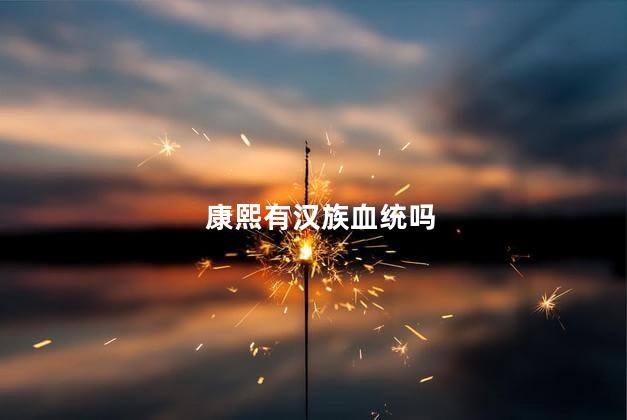 康熙有汉族血统吗