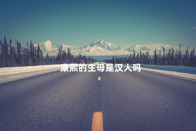 康熙的生母是汉人吗