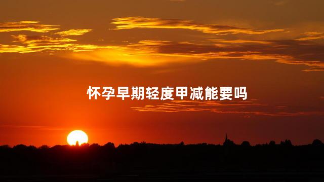 怀孕早期轻度甲减能要吗