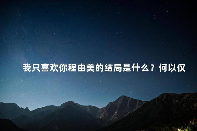 我只喜欢你程由美的结局是什么？何以仅以你程由美，画下完美句点