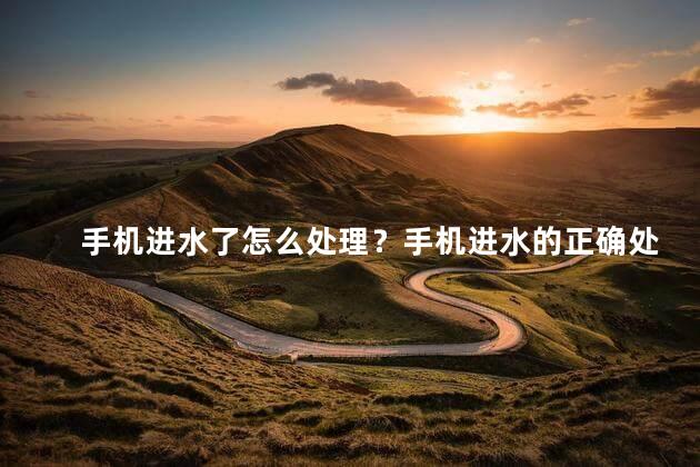 手机进水了怎么处理？手机进水的正确处理方法！