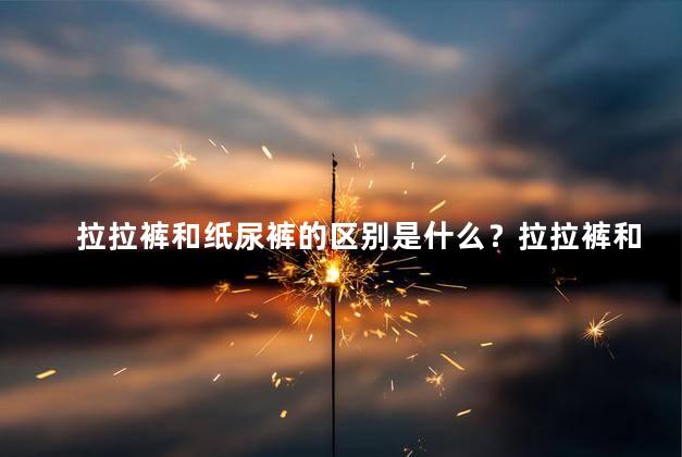 拉拉裤和纸尿裤的区别是什么？拉拉裤和纸尿裤有何不同