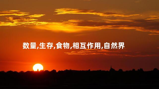 数量,生存,食物,相互作用,自然界