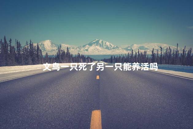 文鸟一只死了另一只能养活吗
