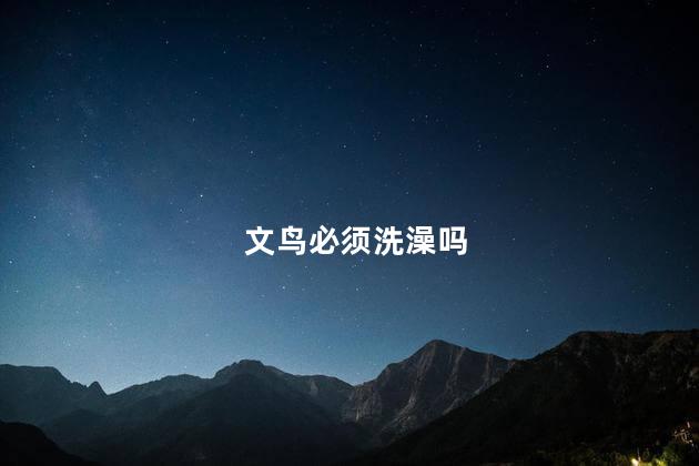 文鸟必须洗澡吗