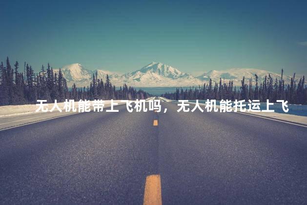 无人机能带上飞机吗，无人机能托运上飞机吗