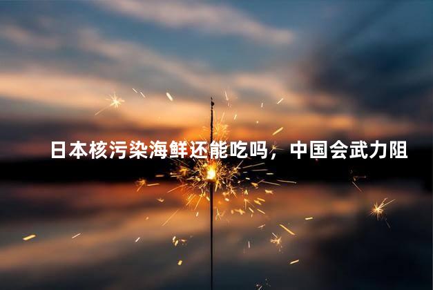 日本核污染海鲜还能吃吗，中国会武力阻止日本核废水进入吗