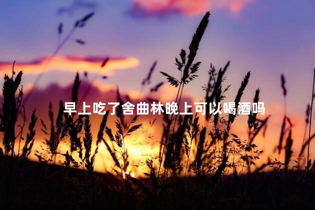 早上吃了舍曲林晚上可以喝酒吗