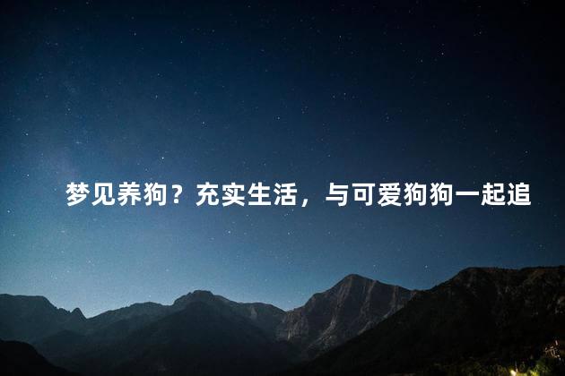 梦见养狗？充实生活，与可爱狗狗一起追梦！