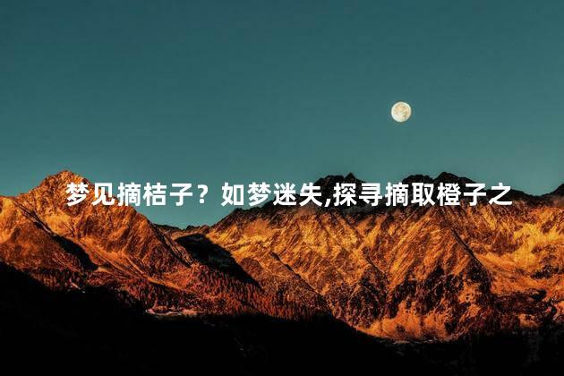 梦见摘桔子？如梦迷失，探寻摘取橙子之旅