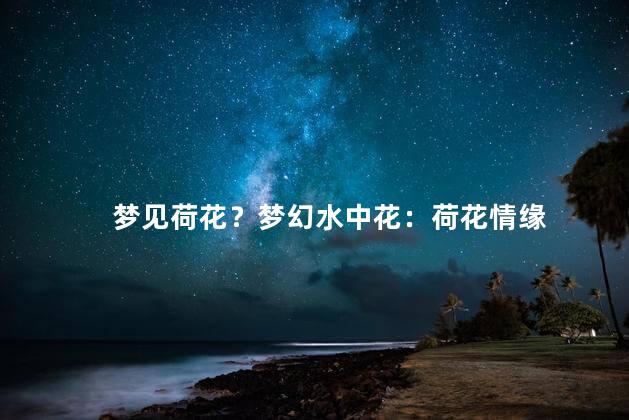 梦见荷花？梦幻水中花：荷花情缘