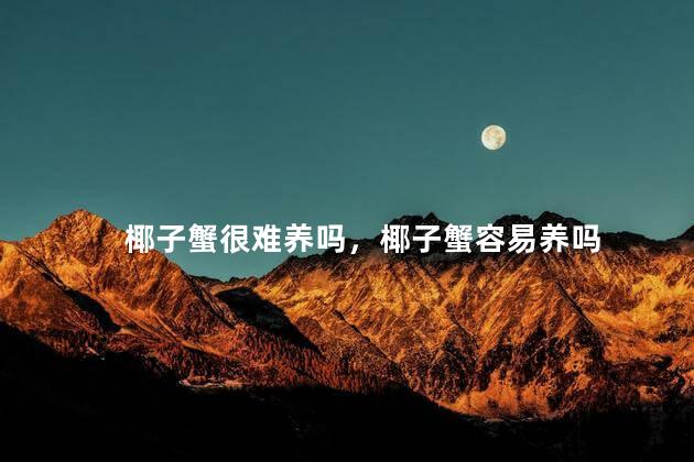 椰子蟹很难养吗，椰子蟹容易养吗