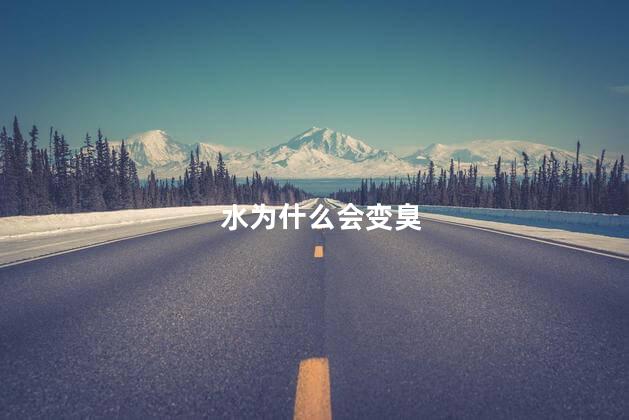 水为什么会变臭，水为什么会变臭呢