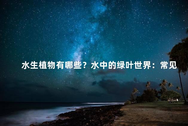 水生植物有哪些？水中的绿叶世界：常见的水生植物！