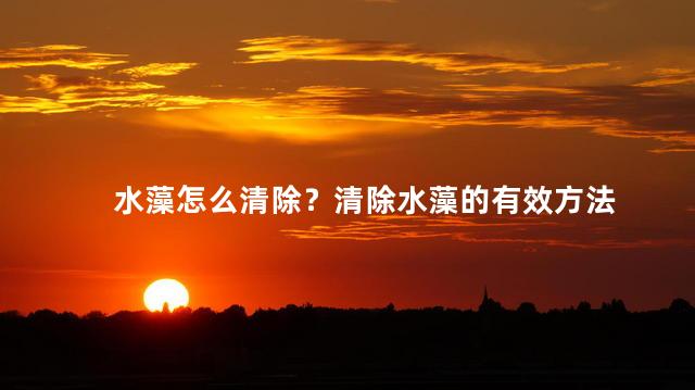 水藻怎么清除？清除水藻的有效方法