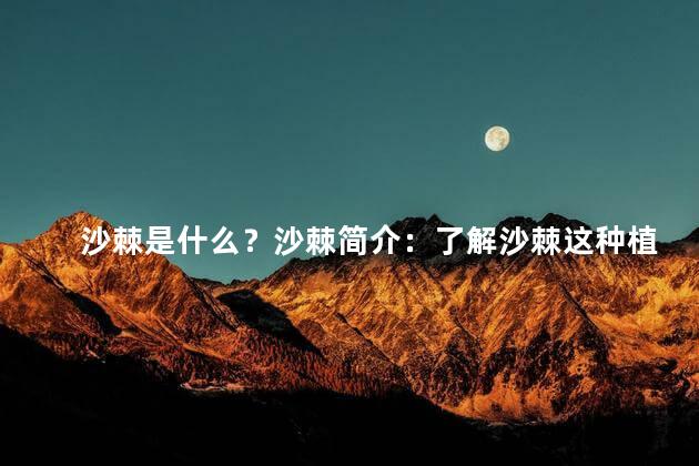 沙棘是什么？沙棘简介：了解沙棘这种植物的基本情况