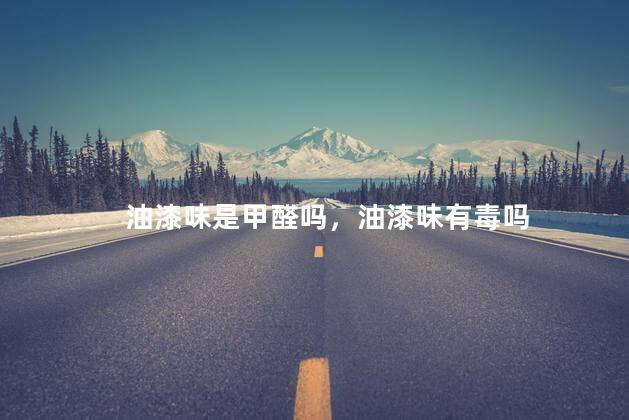 油漆味是甲醛吗，油漆味有毒吗