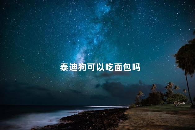 泰迪狗可以吃面包吗