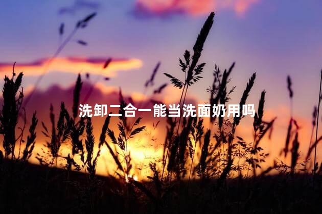 洗卸二合一能当洗面奶用吗