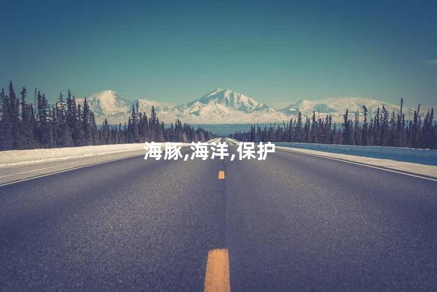 白鲸和海豚的区别？白鲸与海豚：谁是海洋之王？
