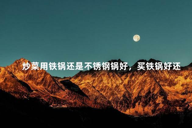 炒菜用铁锅还是不锈钢锅好，买铁锅好还是买不锈钢的锅好