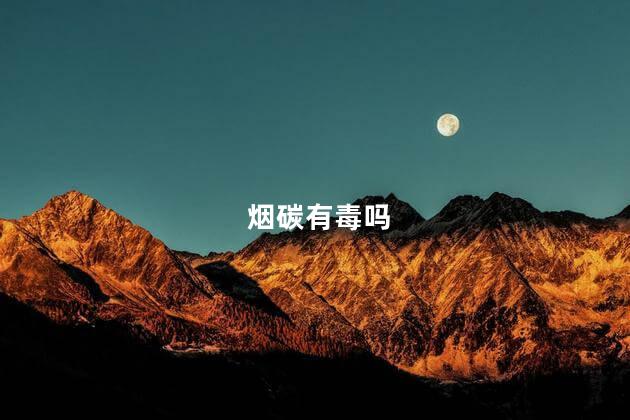 烟碳有毒吗，木炭烟有毒吗