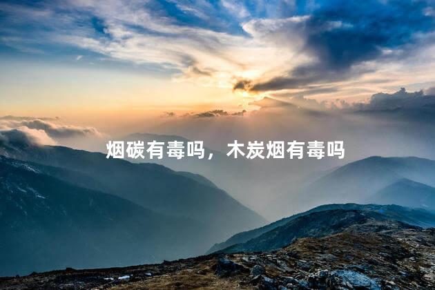 烟碳有毒吗，木炭烟有毒吗