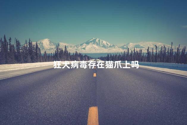 狂犬病毒存在猫爪上吗，猫爪含有狂犬病的几率