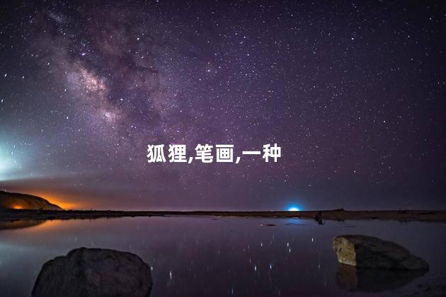 狐狸简笔画的步骤？学画狐狸的简单步骤