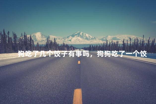 狗吃了几个饺子有事吗，狗狗吃了一个饺子有事儿吗