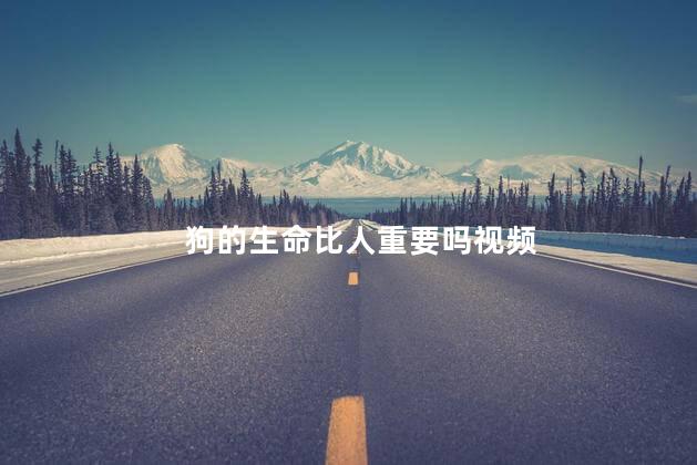 狗的生命比人重要吗视频