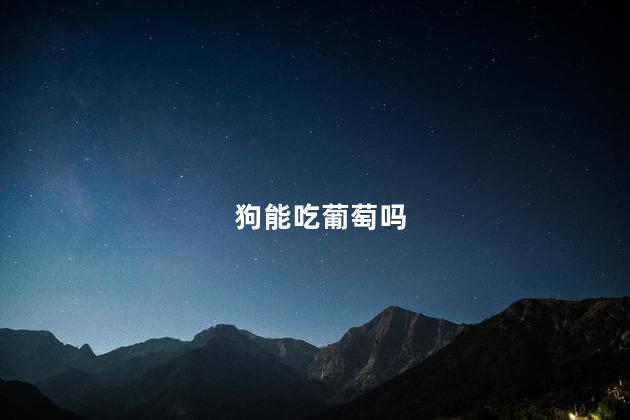 狗能吃葡萄吗，狗能吃葡萄干吗