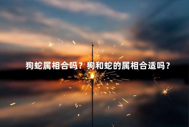 狗蛇属相合吗？狗和蛇的属相合适吗？