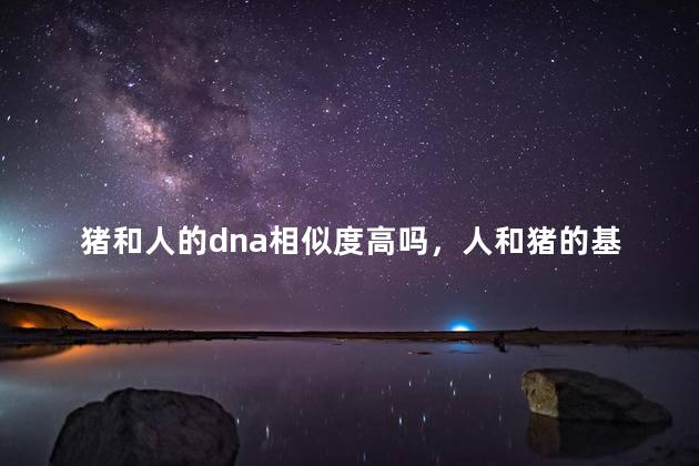 猪和人的dna相似度高吗，人和猪的基因只相差一个吗