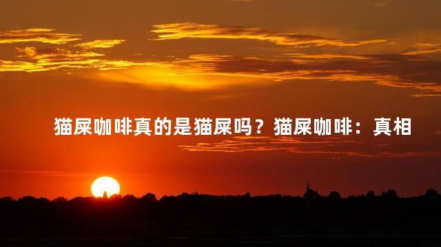 猫屎咖啡真的是猫屎吗？猫屎咖啡：真相揭秘！