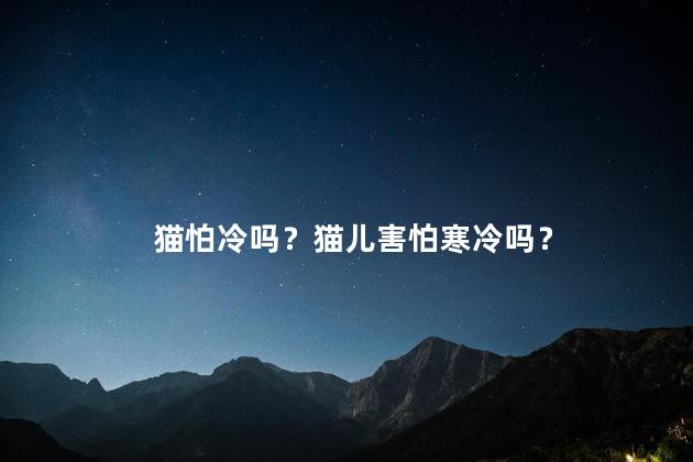 猫怕冷吗？猫儿害怕寒冷吗？