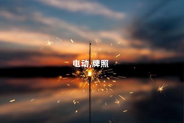 电动车上牌照需要什么手续？电动车上牌照所需手续解析