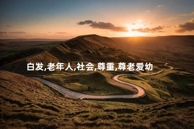 醉里吴音相媚好白发谁家翁媪意思是什么？谁家老人花白发，醉里吴音悦媚心