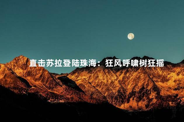 直击苏拉登陆珠海：狂风呼啸树狂摇 苏拉登陆时的惊人场景