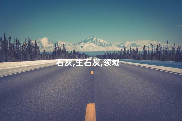 生石灰和熟石灰的区别？生石灰与熟石灰：区别与应用